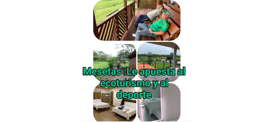 Noticias