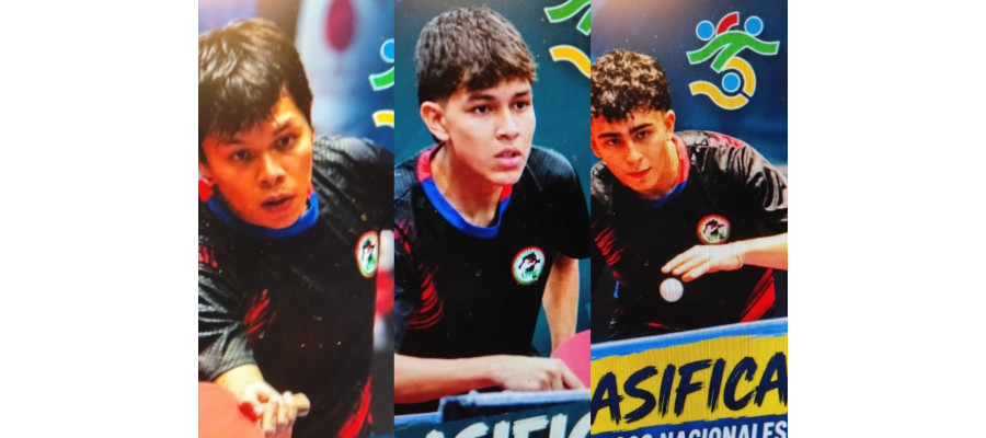 Noticias
